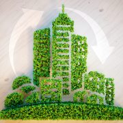 Green city concept