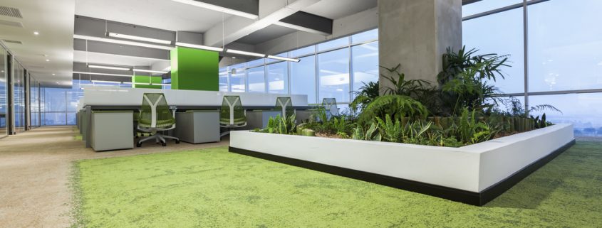 oficina sostenible