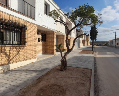 Residential development in La Nava de Campaña, Hellín (Albacete) Trees in the street