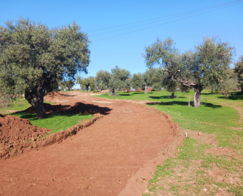 first works at dog park in Dos Hermanas
